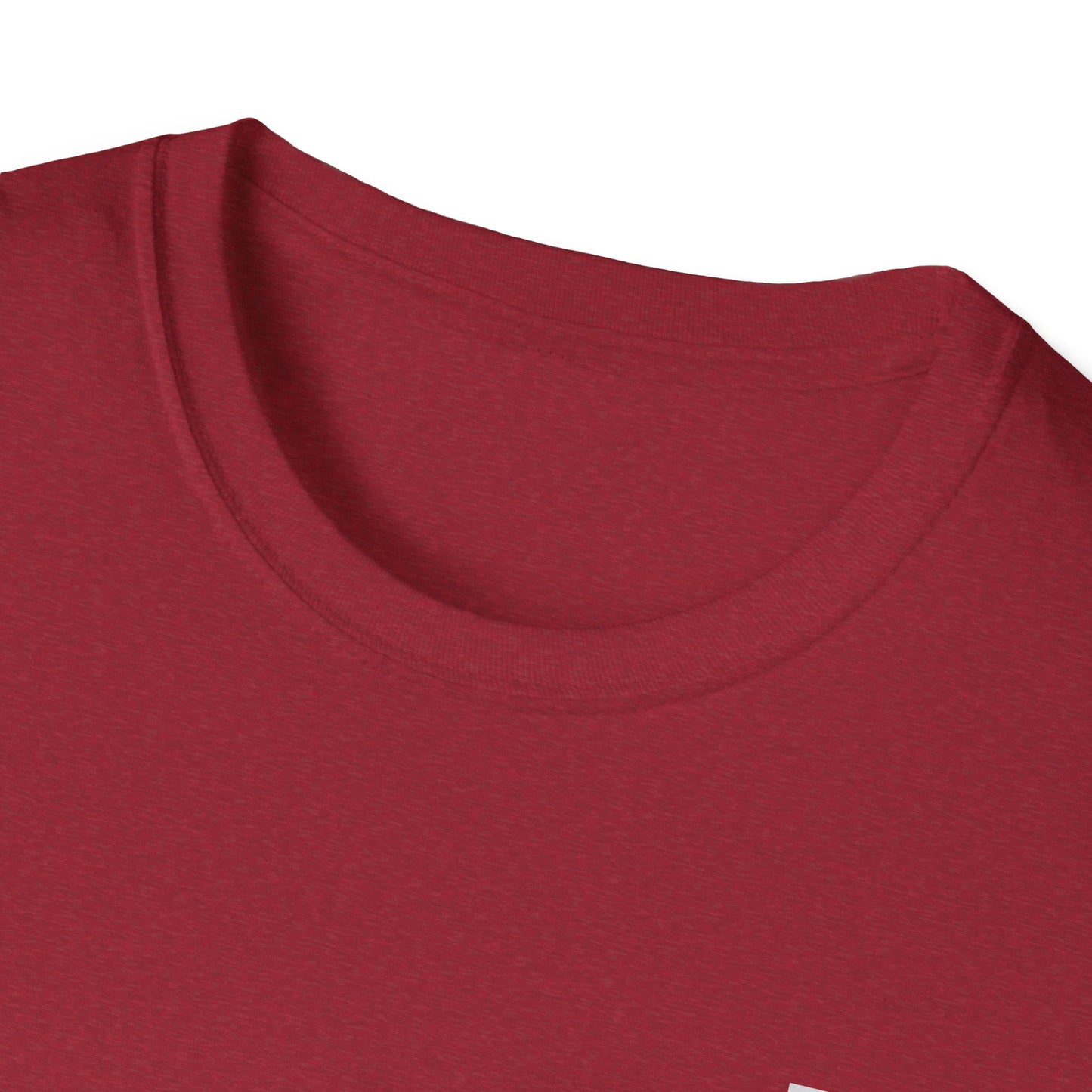 Winter's Gaze: Father & Son Unisex Softstyle T-Shirt